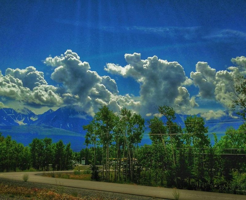 On the road to Alaska via Yukon Territory.